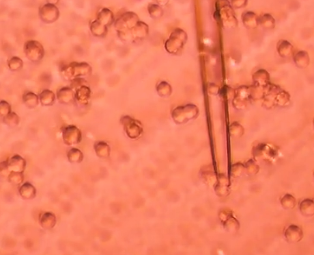 Demonstration of Microinjector